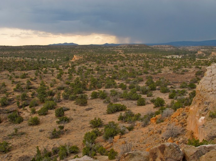 Bandelier burned badly in 2011, and the ecosystem is still recovering, as desert brush gives way to new pine growth. 