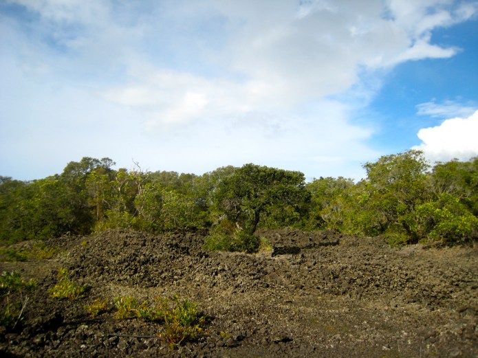 [rangitoto island]